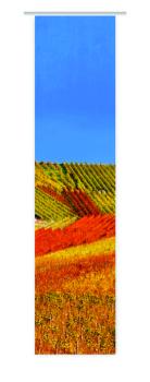 Weinberge mit Motiv
